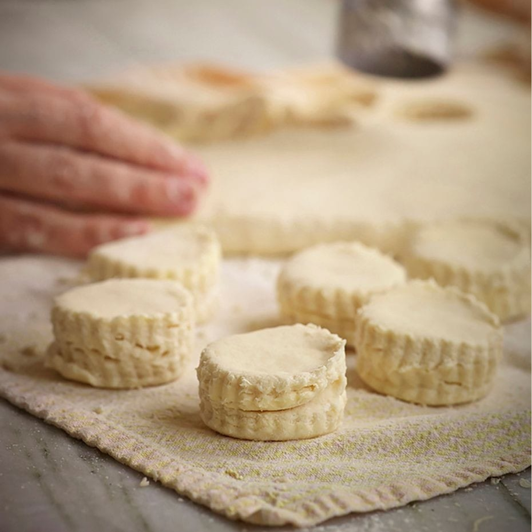 Six Courses // Regina Charboneau