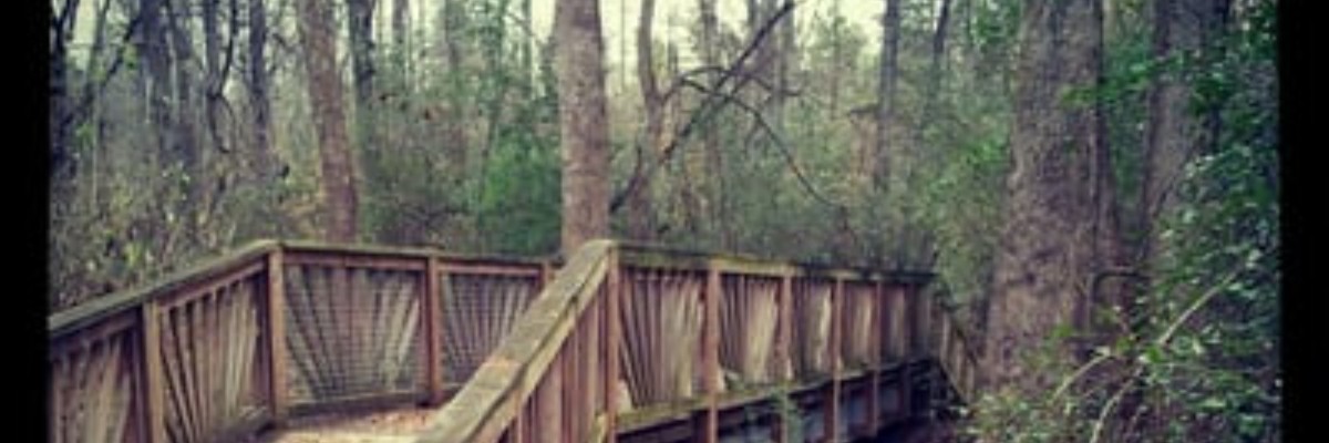 Trick or Trail 5k
